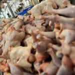 Beyaz et sektörü Çin pazarının açılmasını bekliyor