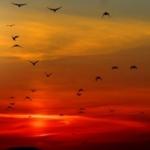  Kuşluk namazı nedir, fazileti nelerdir? Kuşluk namazı nasıl kılınır?