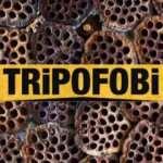 Tripofobi nedir neden olur? Delik fobisi belirtileri ve tedavisi