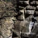 Define avcıları bin 600 yıllık tarihi yok etti