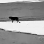 Tam 3 gün boyunca böyle yaşadı