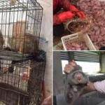 Çin'den yeni koronavirüs kararı! Yasak getirdiler