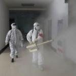 Koronavirüs nedeniyle Yeni Zelanda ve Kuzey Kore'de yeni önlemler alındı