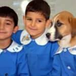 Okulun maskotu olan k&ouml;pek hastalandı