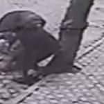 Pitbull cinsi köpeklerin köpeğe saldırısı güvenlik kamerasına yansıdı