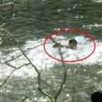 Suriyeli mülteciler, Meriç Nehri'ni yüzerek geçti