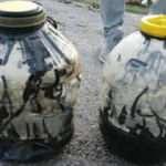 Yapan yandı! 73 bin lira ceza yedi