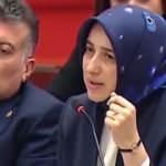 AK Parti Grup Başkanvekili Özlem Zengin: Medeni insanlar böyle bir konuşmaya tahammül edemez
