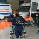 Fındık bahçesini temizlemek istedi, kabusu yaşadı