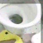 Esrarı, klozete dökerken yakalandı