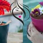 İstanbul'da ilginç mekanların ilginç sunumları