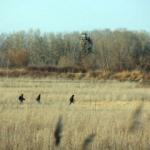 Sınırda skandal: Yunan askerler mültecilere ateş açtı!