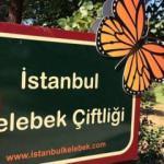 Beykoz Kelebek çiftliği nerede? Nasıl gidilir? Giriş ücretleri ne kadar?