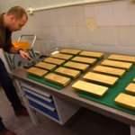 D&uuml;nyanın en ilgin&ccedil; ama ger&ccedil;ek bilgileri