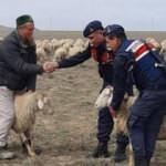 40 koyun çalan Rus uyruklu hırsız yakalandı