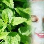 Nanenin cilde faydaları nelerdir? Nane cilde nasıl uygulanır? Cildi yenileyen nane maskesi