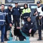 Sokak köpeği Max polislerin 'mesai arkadaşı' oldu