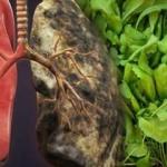 Terenin faydaları nelerdir? Tere hangi hastalıklara iyi gelir?