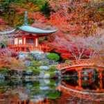 Dünyanın dört bir yanından en güzel Japon bahçeleri