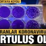 Dünyayı Saran Tehlike Koronavirüs (Kovid-19)