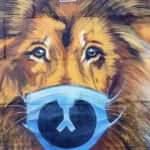 Koronavirüs, Ukrayna'da sanatı da etkiledi