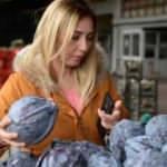 Koronavirüs vurdu, sebze ve meyvelerin fiyatı yüzde 90 düştü