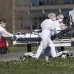 Almanya duyurdu! Ülkede görüldüğünden bu yana...