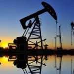 Brent petrolün varili 25 doların altına düştü