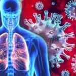 Çin'deki Hantavirüs nedir? Hantavirüs belirtileri nelerdir? Hantavirüs nasıl bulaşır?