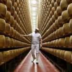 D&uuml;nyadan şaşırtan ger&ccedil;ekler!