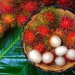 Rambutan nedir? Rambutan meyvesinin faydaları nelerdir? Rambutan nasıl yenir?