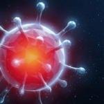 Hollanda'da tespit edildi! Koronavir&uuml;s kendisine yeni bir yaşam alanı buldu