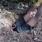 Toprağın altına daldı ve...