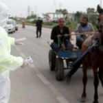 Koronavirüs uygulamasında ilginç görüntü