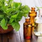 Nanenin faydaları nelerdir? Her gün taze nane yerseniz ne olur? Nane limon çayı ne işe yarar?