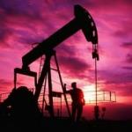 Dünya devi ideal petrol fiyatını açıkladı