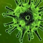 Pik yapmak ne demek? korona vir&uuml;s&uuml;n pik yapması ne alama geliyor?