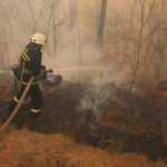 Çernobil Nükleer Santrali Nerede? Ukrayna büyük yangında son durum...