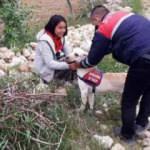 Kayıp kız &ccedil;ocuğu ormanlık alanda bulundu