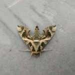 Hakkari'de bulundu! &Ccedil;ok ender bir t&uuml;r...