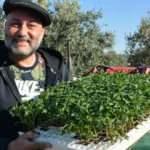 Köy hayatını tercih eden Hüsnü Şenlendirici oğlunu evlendirdi!