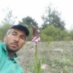 Koparmanın cezası 72 bin lira olan bitkiyle selfie