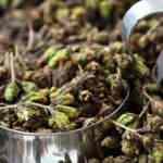 Misk otu nedir? Misk otu nasıl kullanılır? Misk otunun faydaları nelerdir?