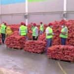 16 bin haneye 250 ton patates ve soğan dağıtılıyor