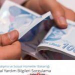 e-Devlet 1.000 TL pandemi sosyal yardım bilgileri sorgulama!