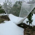 Mersin'de dolu tarım alanlarına zarar verdi