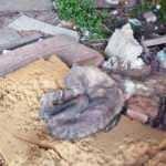 A&ccedil;lıktan &ouml;lmek &uuml;zere olan kangal k&ouml;peği bulundu