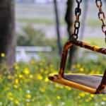 Sarıgazel Tabiat Parkı, sarıya büründü