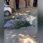 Libya'da Hafter'den kanlı saldırı: Ölüler var