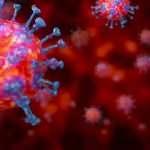 ABD'li uzmanlardan ezber bozan Covid-19 çıkışı!